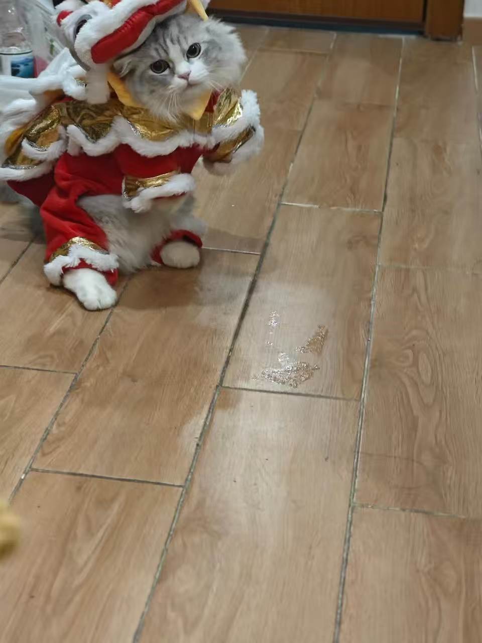 糯狮子