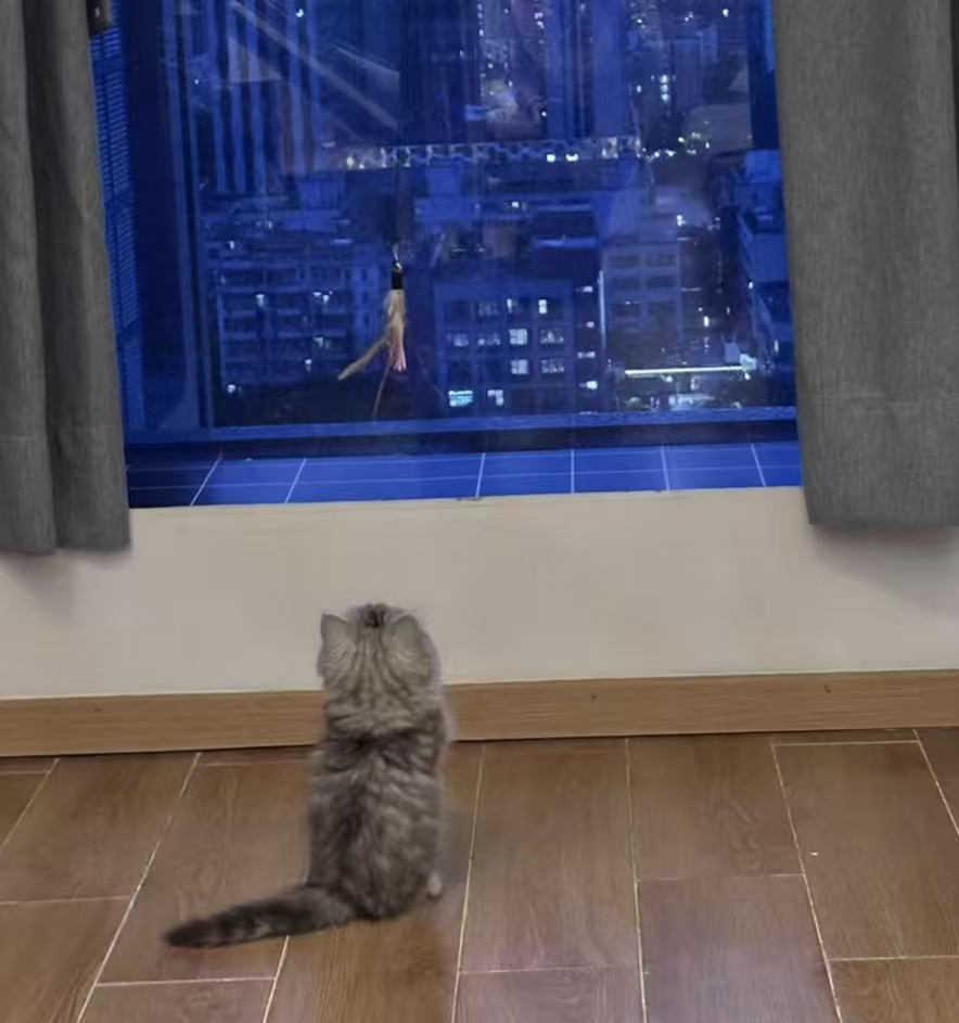 糯米玩逗猫棒