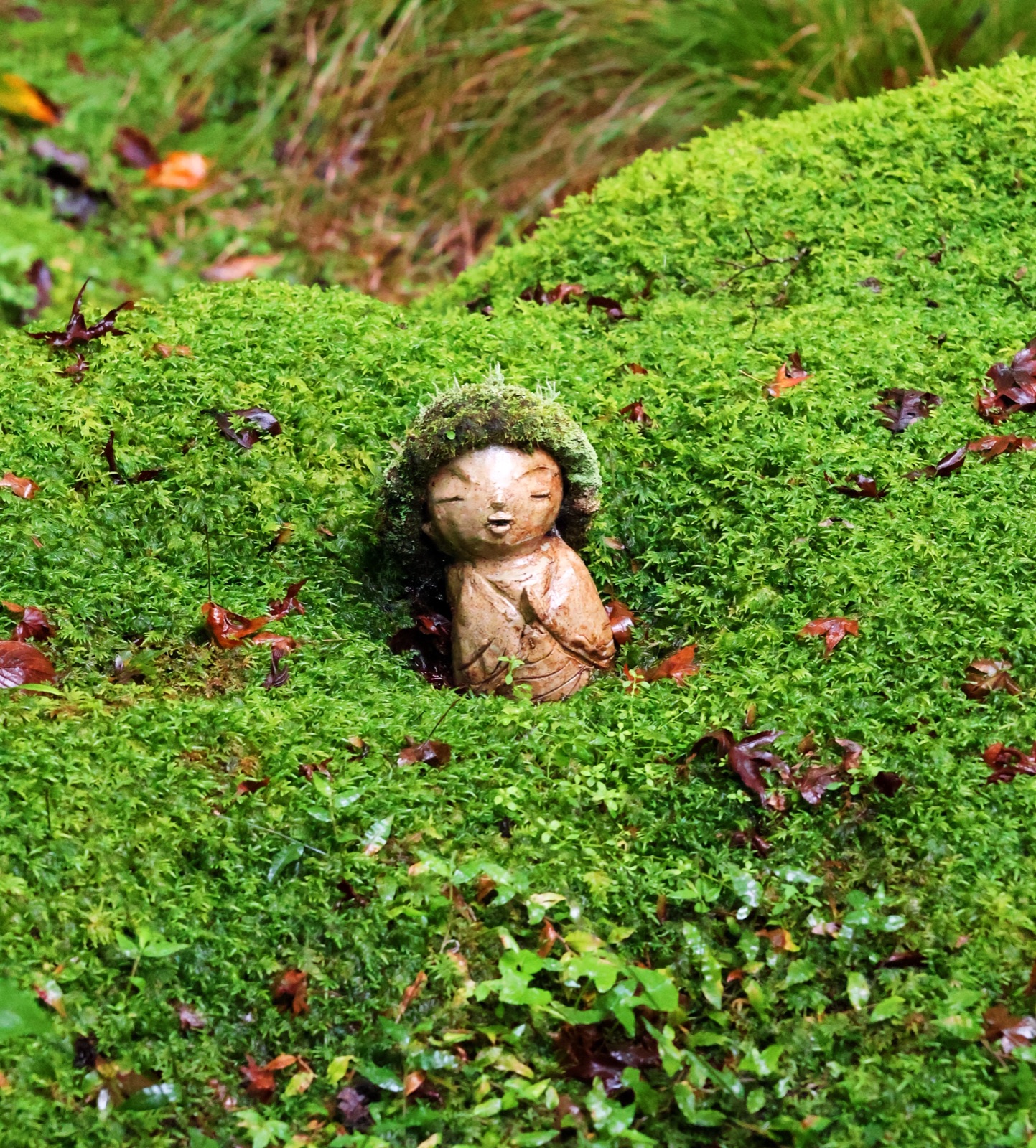 Moss Jizo