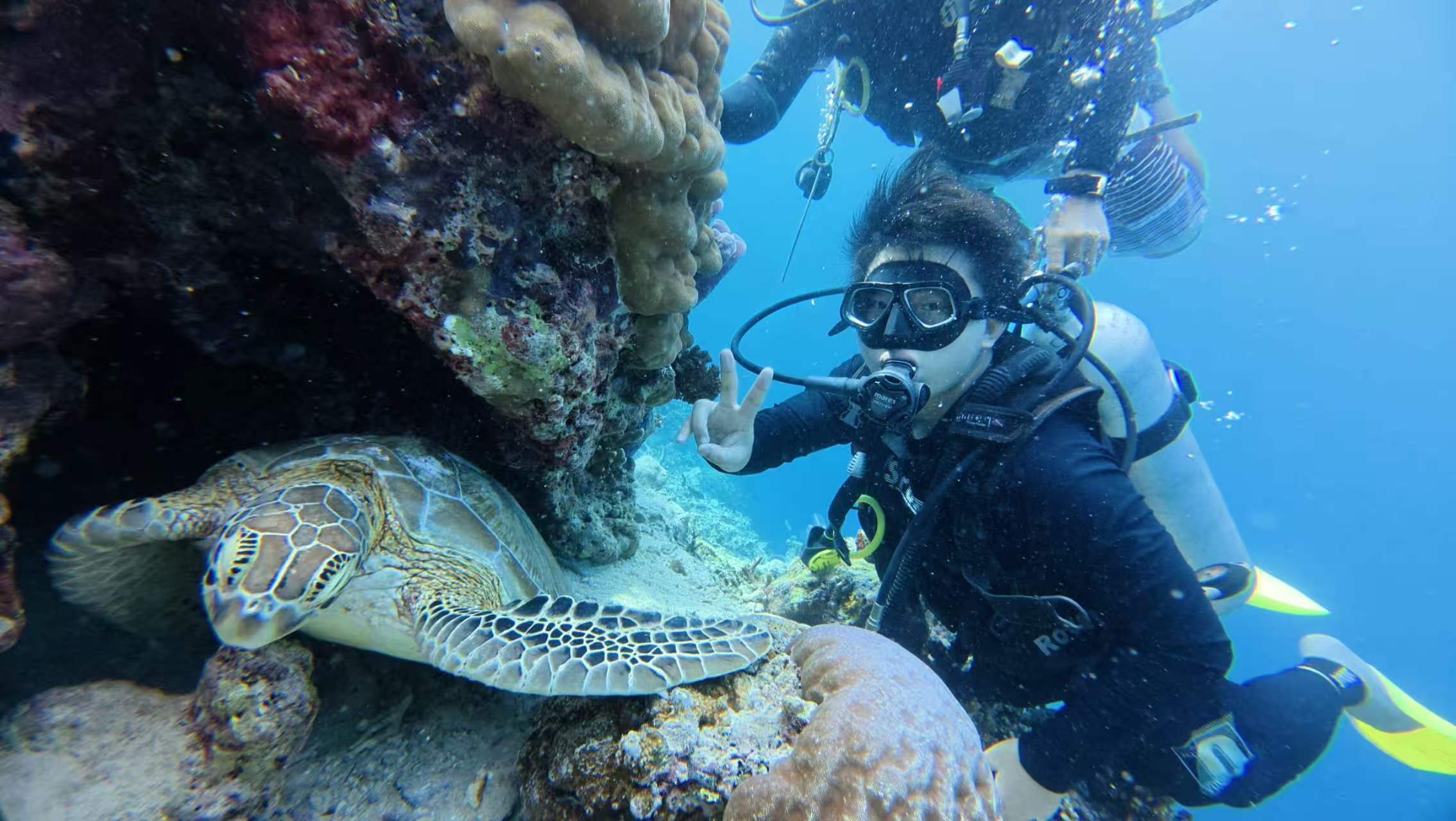 Discovery Dive