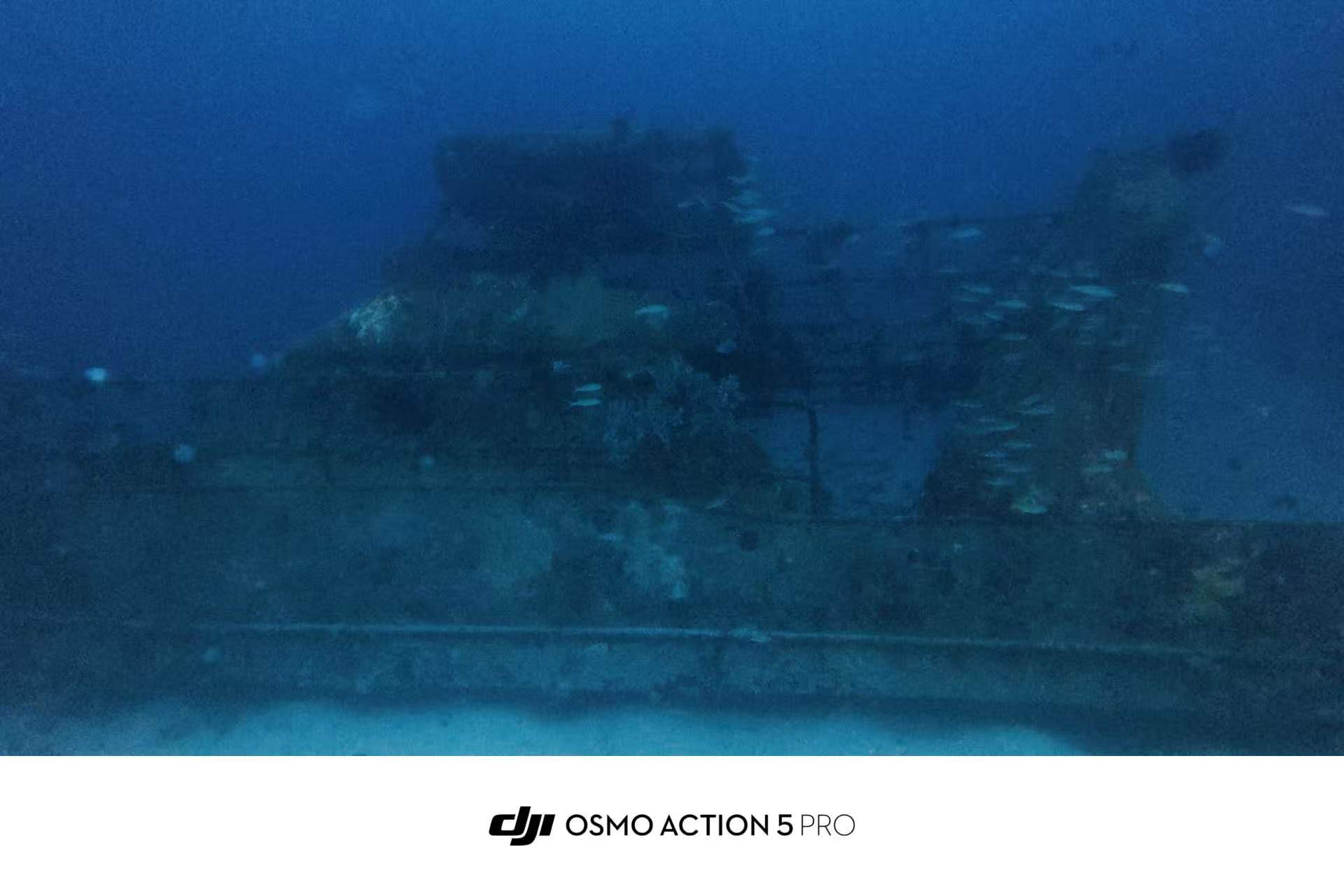 Shipwreck Dive