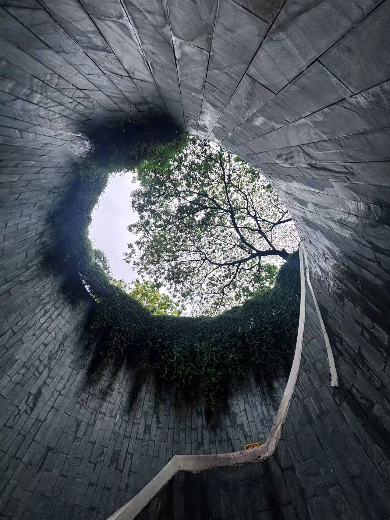 Fort Canning Tree Tunnel
