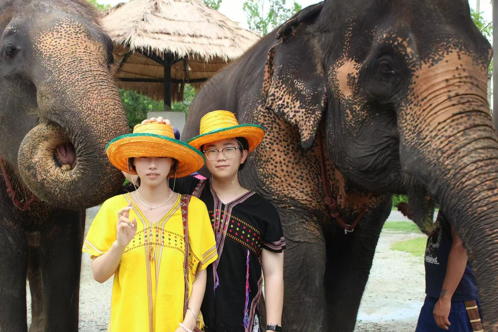 Elephant Sanctuary