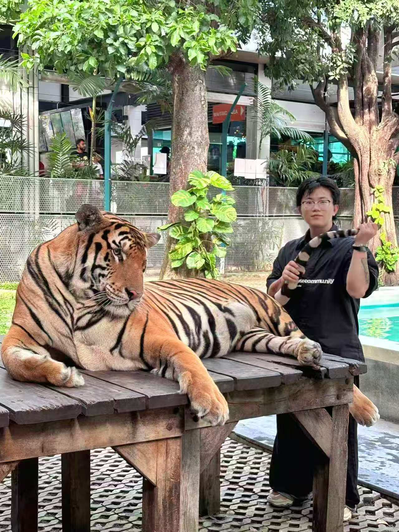 Tiger Park